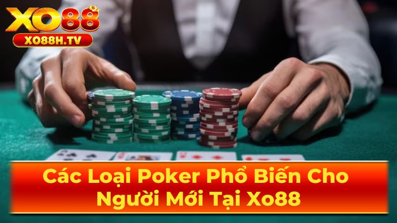 Texas Hold'em - Hoàng Tử Của Làng Poker