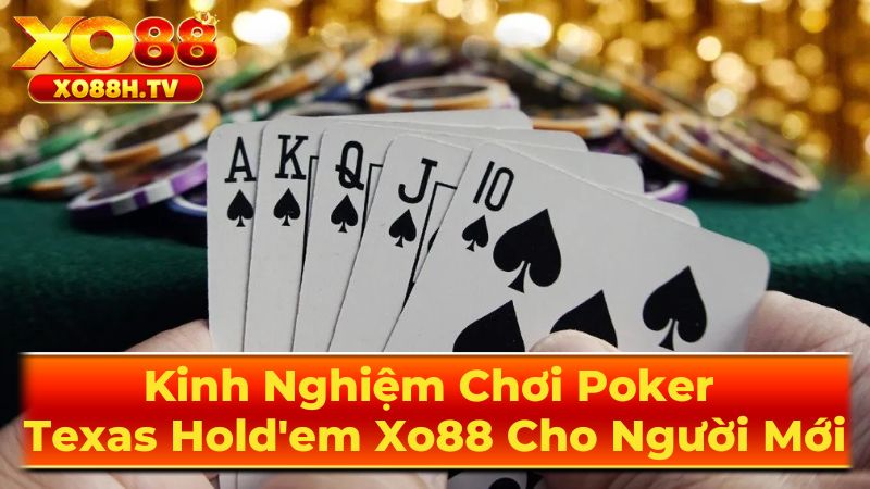 Mẹo Chơi Texas Hold'em Cho Người Mới