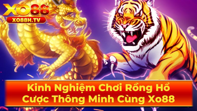 Những Mẹo Chơi Rồng Hổ Hiệu Quả