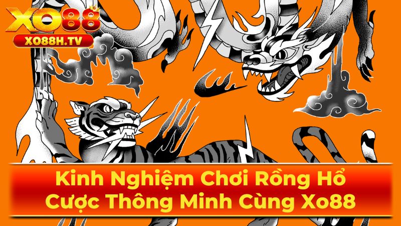 Luật Chơi Rồng Hổ Chi Tiết