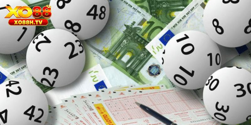 Tiềm năng làm giàu khi làm thầu đề