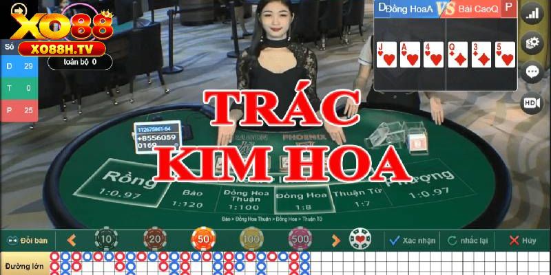Giới thiệu về Trác Kim Hoa