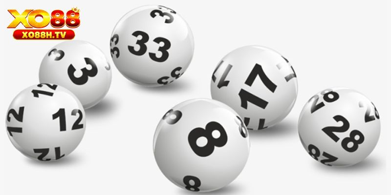 Đề 4 càng là gì?